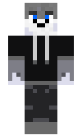 wolfsun minecraft skin