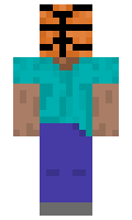 afc72f87e938c4 minecraft skin