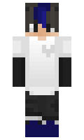 afd651cb110a37 minecraft skin