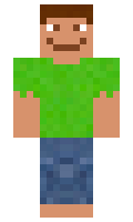 vpzom minecraft skin