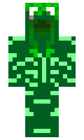 Torrockdragon minecraft skin