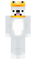 Akker minecraft skin