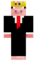 b028e2d6081459 minecraft skin