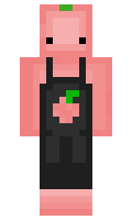 PhlyTrikx minecraft skin