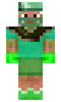 reggg minecraft skin