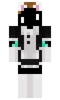 b09d5652be62ac minecraft skin