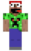 b0d457fe79206e minecraft skin