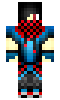 erty minecraft skin