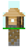 b0f705721e25d2 minecraft skin