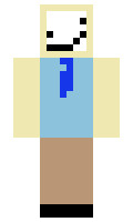 341b minecraft skin