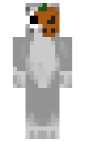 b13b307b2a14a1 minecraft skin