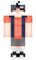 TP348 minecraft skin