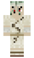 aaidd minecraft skin