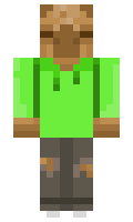 Foxy2373 minecraft skin