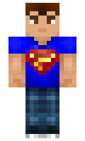 borna minecraft skin