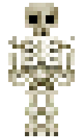 Skettlu minecraft skin