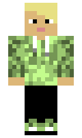 b1b73ee7583a7b minecraft skin