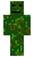 phoenixflame314 minecraft skin