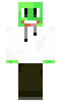 b1d31a2c91a8e9 minecraft skin
