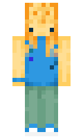 salquin minecraft skin