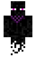 Taylorshoe minecraft skin