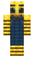 iestarr minecraft skin