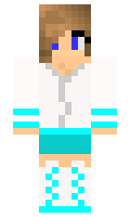 b1fbda066a313e minecraft skin