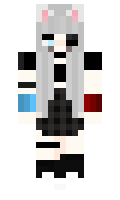 b204a42c6fe665 minecraft skin