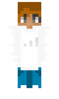 b208b5f1ba3834 minecraft skin
