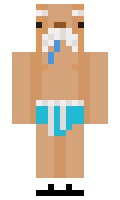 Zeppomok minecraft skin