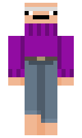 swuniq minecraft skin