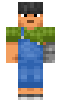 b249f095266430 minecraft skin