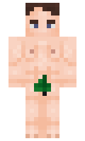 b269311be1f1b1 minecraft skin