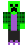 b27fa7f3b54072 minecraft skin