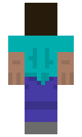 b28bfba8a6d0c9 minecraft skin