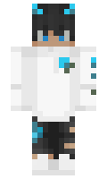 Nilzen minecraft skin