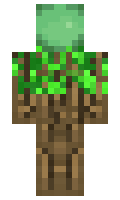 b2c07a02aa8569 minecraft skin