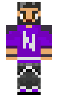 NAANI minecraft skin