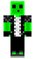 b2d3b40cfd2e67 minecraft skin