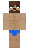 b2d5cb4edf78b0 minecraft skin