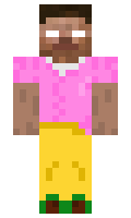 b2e00498f29858 minecraft skin