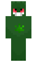 stormtlw minecraft skin