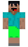 alieneverything minecraft skin