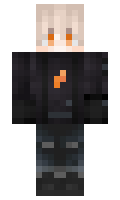 networkException minecraft skin