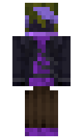 b33e025606d3ed minecraft skin