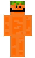 b3598225bfd504 minecraft skin