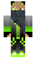 NeFox minecraft skin