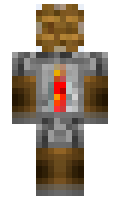 JL2579 minecraft skin