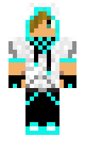 b37568d408d5c3 minecraft skin