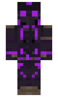 sjdtx minecraft skin